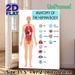 Human Body Anatomy Painting Poster, Detailed Labeled Human Organ Chart Poster, Informative Educational Decor For Study Rooms, Medical Learning Spaces_maomaolike.com