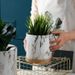 European Style Cement Flower Pot Ceramic Gold Water Transfer Simple Artistic Personality Top-sale With Tray For Radish And Green Pla_maomaolike.com