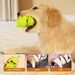 One Green And One Orange Dog Toy For Aggressive Chewing, Dog Chew Toy For Chewing Natural Rubber Sounds, Attracting Attention/reducing Anxiety And Boredom_maomaolike.com