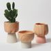 Cross-Border Top-sale Ceramic Pot Creative Vase Living Room Dried Flower Decoration Ornament Nordic Home Fresh And Unique_maomaolike.com
