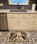 Yellow Lab Fall Kitchen Pumpkins Memory Foam Kitchen Mat Machine Washable Anti-Fatigue Mat Cushion Comfort Bath Mat Or Kitchen Rug_maomaolike.com