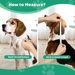 IFurffy Dog Cone For After Surgery Breathable Soft Dog Cone For Large Medium Small Size Dog, Adjustable Drawstring And Buckle Dog Recovery Collar To Stop Licking And Scratching Wound_maomaolike.com