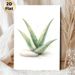 Aloe Vera Painting Poster, Soft Watercolor Style Aloe With Smooth Stone Poster, Fresh Natural Vibe, Ideal For Bedroom, Living Room And Bathroom_maomaolike.com