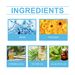 Jue-Fish Bedbug Spray, Bedbug Killing And Mite Killing Spray For Dormitory Beds And Bedrooms_maomaolike.com
