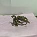 Cross-Border Animal Alloy Warcraft Fire Flying Dragon Ornament Craft Copperware Desktop Home Decoration Chinese Style_maomaolike.com