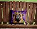Bullmastiff King Of Mardi Gras Throw Pillow Machine Washable, Indoor Outdoor Decorative Pillow For Couch, Bed Or Patio, 14Hx14W_maomaolike.com