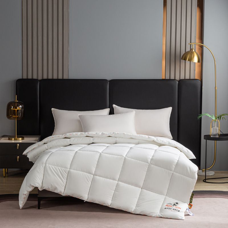 Kang Lun Aerospace Constant Temperature Winter Core Single Student Dormitory Spring And Autumn Double Cotton Quilt Factory Wholesa_maomaolike.com