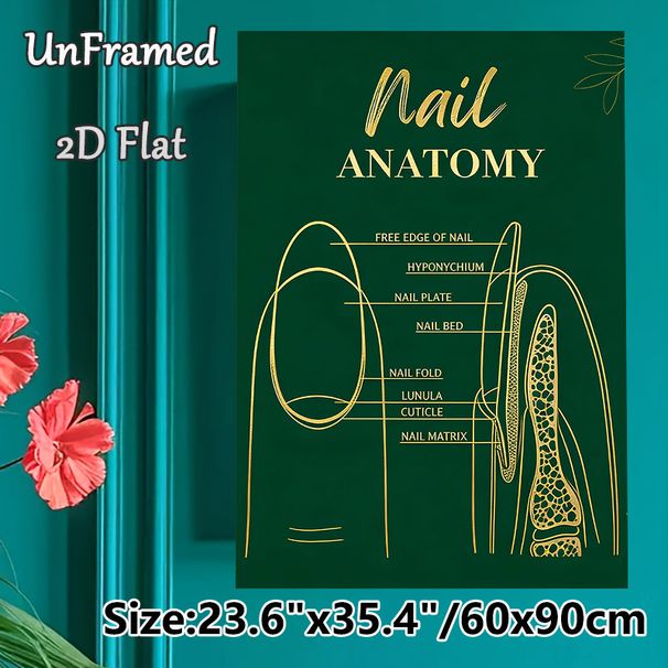Nail Anatomy Painting Poster, Elegant Dark Green With Golden Line Art Poster, Informative Nail Structure Reference, Suitable For Nail Salons And_maomaolike.com