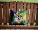Alaskan Klee Kai King Of Mardi Gras Throw Pillow Machine Washable, Indoor Outdoor Decorative Pillow For Couch, Bed Or Patio, 14Hx14W_maomaolike.com