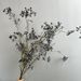 Mountain Return Vine Berry Wrapped Artificial Fruit Branch Floral Arrangement 13 Forks Nine Fruits_maomaolike.com