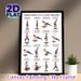 Balance Board Core & Stability Exercises Painting Poster, Clear Cartoon-style Workout Guide Poster, Detailed Core Training Instructions, Ideal For_maomaolike.com
