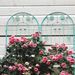 4 Pack Metal Garden Trellis 71" X 19.7" Rustproof Trellis For Climbing Plants Outdoor Flower Support Green_maomaolike.com