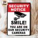 Security Notice Painting Poster, Bold Black-and-White Security Camera Graphic Poster, Clear Monitoring Warning Reminder, Suitable For Shops, Offices_maomaolike.com