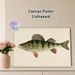 Perch Themed Painting Poster, Vintage Realistic Illustrated Poster, Detailed Striped Perch Artwork With Reddish Fins, Ideal For Study And Fishing_maomaolike.com