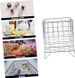 Home Use Storage Basket Iron Craft Elegant Decorative Basket Wide Application For Snacks Fruit Office Supplies_maomaolike.com