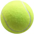 Racquet Sports_maomaolike