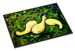 Three Crooks Squash Doormat Front Door Mat Indoor Outdoor Rugs For Entryway, Non Slip Washable Low Pile, 24H X 36W_maomaolike.com