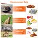 Humane Cat Trap Cage Catch Release Live Animal Rodent Cage Collapsible Galvanized Wire For Raccoons Beavers Groundhogs Foxes Armadillos_maomaolike.com
