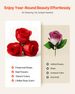 Forever Flowers, 50 Preserved Roses In A Heart Shape Box, Eternal Flowers Immortal Bouquet Birthday Present For Delivery Prime Women Her Wife Mothers, Anniversary, Valentine's Day,Christmas, Red_maomaolike.com