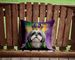 Shih Tzu King Of Mardi Gras Throw Pillow Machine Washable, Indoor Outdoor Decorative Pillow For Couch, Bed Or Patio, 14Hx14W_maomaolike.com