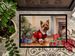 Norwich Terrier Cozy Christmas Doormat Front Door Mat Indoor Outdoor Rugs For Entryway, Non Slip Washable Low Pile, 24H X 36W_maomaolike.com