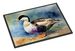 Common Eider Duck Doormat Front Door Mat Indoor Outdoor Rugs For Entryway, Non Slip Washable Low Pile, 24H X 36W_maomaolike.com