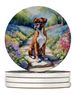 Boxer Spring Path Large Sandstone Coasters Pack Of 4 Absorbent Round Coasters Decor Gifts For Men Or Women, 4 In, Multicolor_maomaolike.com