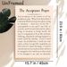 The Acceptance Prayer Painting Poster, Elegant Typographic Text Poster, Inspirational Reflective Design For Home, Office And Quiet Resting Spaces_maomaolike.com