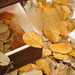 Natural Real Leaves Bookmark Plant Specimen Shooting Props Kindergarten DIY Handmade Dried Flowers Graffiti_maomaolike.com