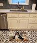 Sheltie Fall Kitchen Pumpkins Memory Foam Kitchen Mat Machine Washable Anti-Fatigue Mat Cushion Comfort Bath Mat Or Kitchen Rug_maomaolike.com