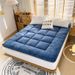 Lamb Wool Mattress Pad Home Use Thickened Student Dormitory Single Sponge Warm Tatami Winter Mat_maomaolike.com