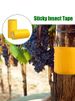 1 Roll Of Yellow Double-sided Proof Tape To Prevent Insects, Ants, And Moths From Climbing. Outdoor Garden Insect Trap_maomaolike.com