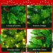6FT Grass Green Christmas Tree, Large Branches Pine Tree, Pre-Lit Set With Tree & Garland & Wreath, Artificial Christmas With Pine Cones, Hinged Xmas Tree , For Holiday Party Ofiice Home_maomaolike.com