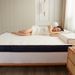 New Soft Cushion Home Rental 1.8x2.0m Sponge Pad Thickened Student Dormitory Single Tatami Bed Mattress_maomaolike.com