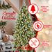 6ft PE/PVC Decorated Automatic Tree_maomaolike.com