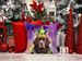 Newfoundland King Of Mardi Gras Throw Pillow Machine Washable, Indoor Outdoor Decorative Pillow For Couch, Bed Or Patio, 14Hx14W_maomaolike.com