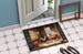 Chickens In The Coop Doormat Front Door Mat Indoor Outdoor Rugs For Entryway, Non Slip Washable Low Pile, 24H X 36W_maomaolike.com