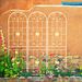 4 Pack Metal Garden Trellis 86.7" X 19.7" Rustproof Trellis For Climbing Plants Outdoor Flower Support Cream White_maomaolike.com