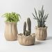 Nordic Style Tall Ceramic Vase Flower Pot Indoor Planter Green Radish Cactus Potted Plant With Holes Orchid_maomaolike.com