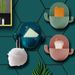 Home Daily Necessities Cactus Dish Suction Cup No-Drill Soap Holder Drainage Storage Rack Aiyouhui_maomaolike.com