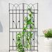 2 Pack Metal Garden Trellis 71" X 17.7" Rustproof Trellis For Climbing Plants Outdoor Flower Support Black_maomaolike.com