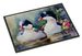 Bufflehead Doormat Front Door Mat Indoor Outdoor Rugs For Entryway, Non Slip Washable Low Pile, 24H X 36W_maomaolike.com