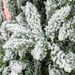 7.5 Ft Tall Unlit Snow Flocked Pine Artificial Christmas Tree With Realistic Branches, Green_maomaolike.com