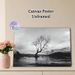Lonely Lake Tree Painting Poster, Monochrome Minimalist Landscape Poster, Serene Bare Tree In Lake With Snow-capped Mountains Backdrop, Calming Wall_maomaolike.com