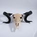 Bone-Inspired Bull Head Hanging Ornament-Resin Craft,Lifelike Details,North American Style_maomaolike.com