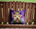 Wheaten Terrier King Of Mardi Gras Throw Pillow Machine Washable, Indoor Outdoor Decorative Pillow For Couch, Bed Or Patio, 14Hx14W_maomaolike.com
