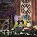 Bernese Mountain Dog King Of Mardi Gras Throw Pillow Machine Washable, Indoor Outdoor Decorative Pillow For Couch, Bed Or Patio, 18Hx18W_maomaolike.com