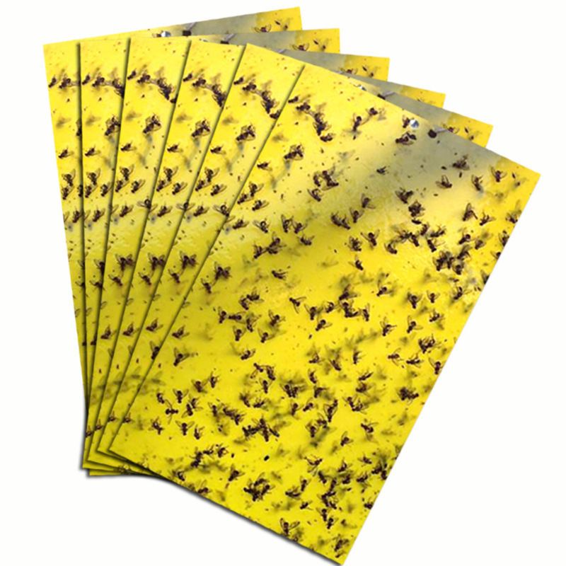 20-50 10x20cm Double-Sided Sticky Traps - Non-Toxic Fly & Bug Catchers, Durable Yellow Polypropylene Boards For_maomaolike.com