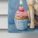 Akita Happy Birthday House Flag Large Porch Sleeve Pole Decorative Outside Yard Banner Artwork Wall Hanging, Polyester, House Size, Multicolor_maomaolike.com
