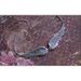 Vintage Angel Wings Feather Choker Big Pendant Aesthetic Link Chains Statement Necklace For Women Collar Bib Wedding_maomaolike.com